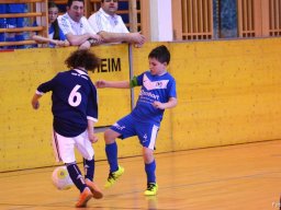mini-2016-01-30-DSC_4230